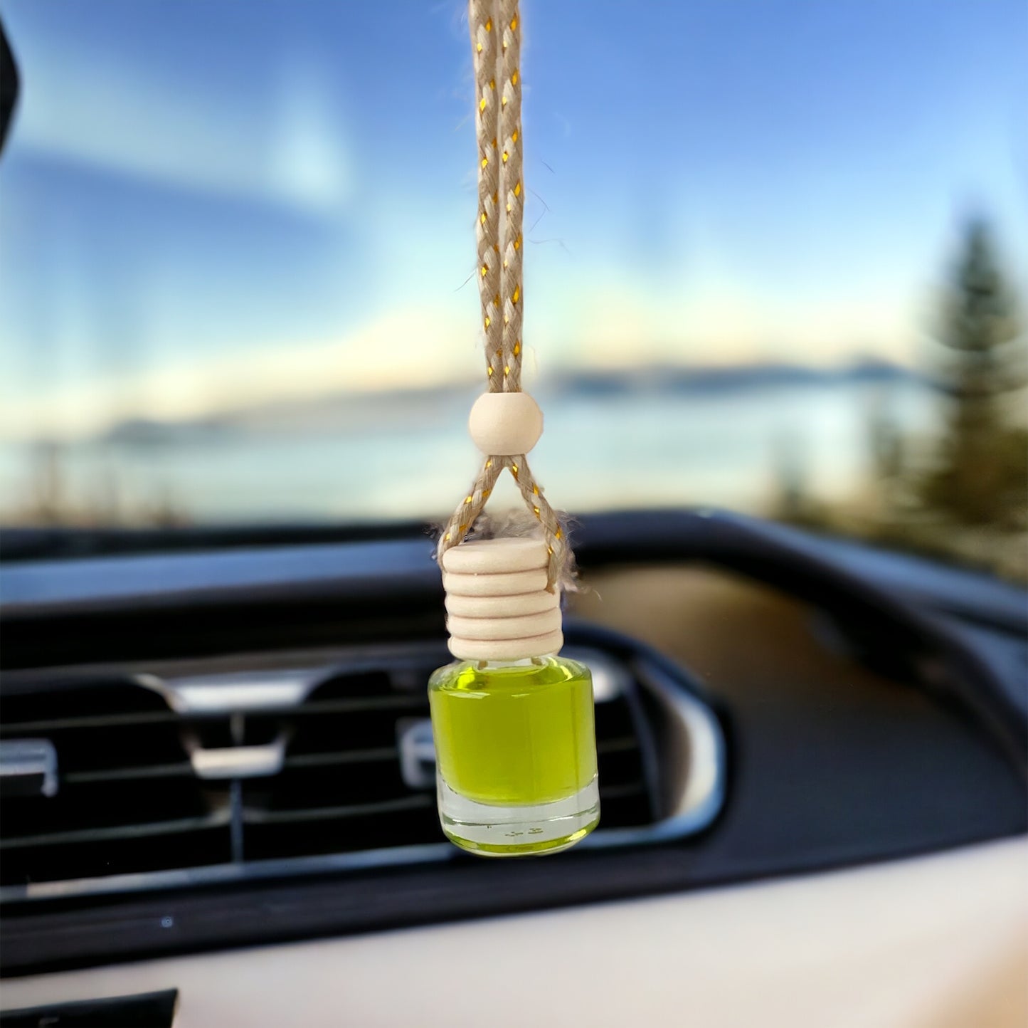 Air Freshener Mini Diffuser