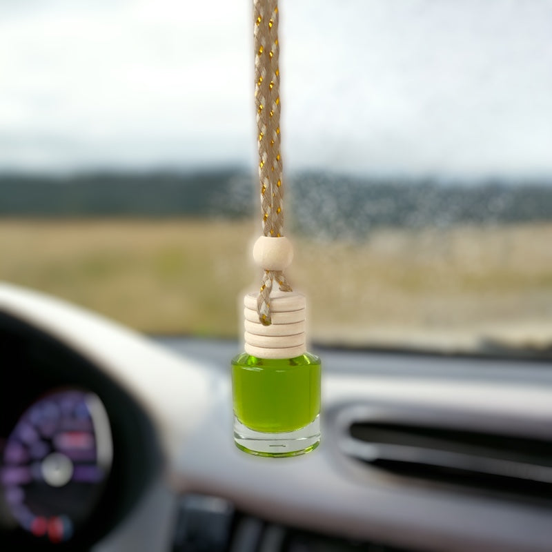 Air Freshener Mini Diffuser