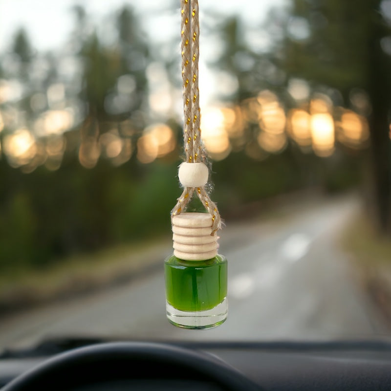 Air Freshener Mini Diffuser